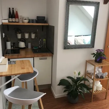 Skylark 파르두비체
